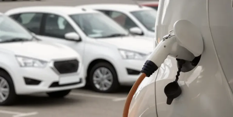 tipos de coches eléctricos