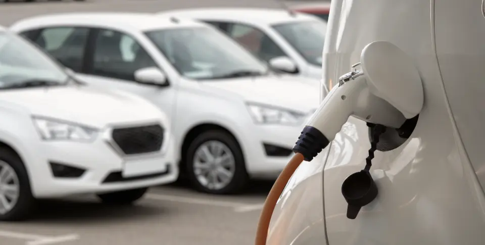tipos de coches eléctricos